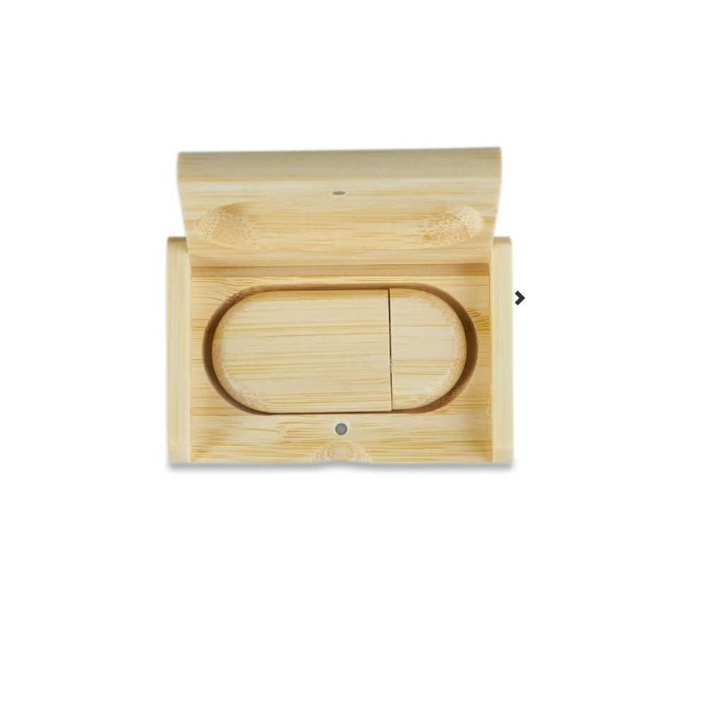 Kit Pen Drive Ecológico-066